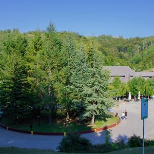 Hotel Junior